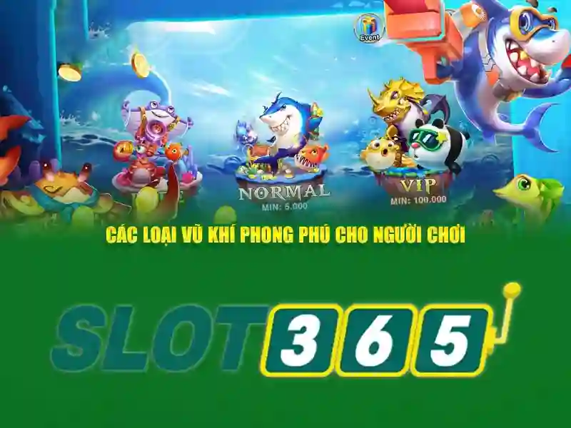 Trải nghiệm người dùng và giao diện