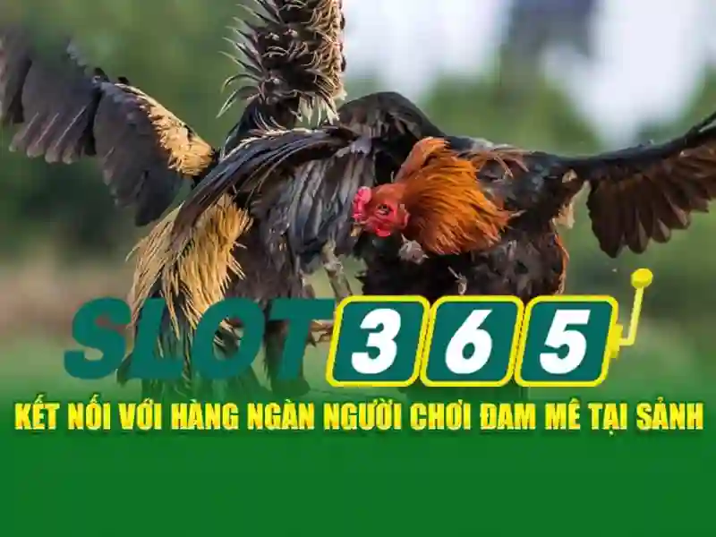 Hướng dẫn chơi và mẹo quản lý ngân sách