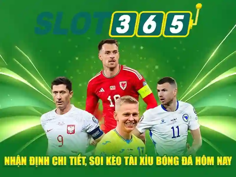Hỗ trợ khách hàng và dịch vụ