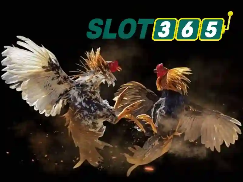 Chính sách bảo mật slot365