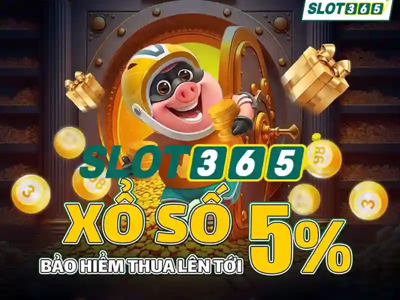 Kết luận và lời khuyên cho người mới