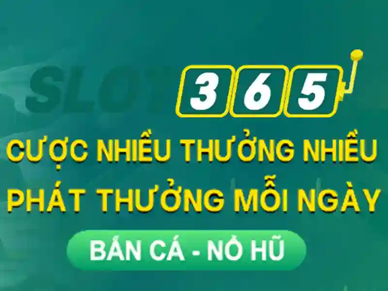 Trải nghiệm người dùng và đánh giá