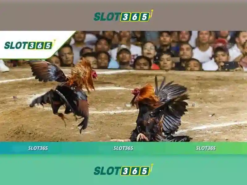 Giới thiệu về Slot365