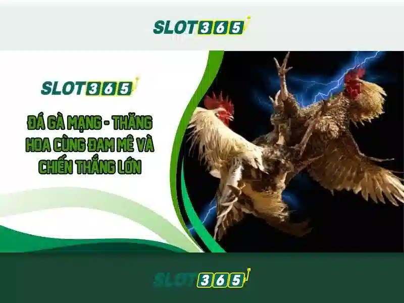 Cong nghe pool thuong toan cau 