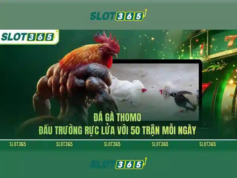 Danh mục trò chơi và tính năng