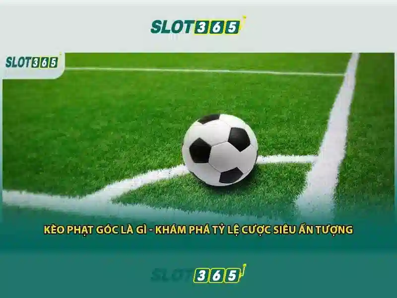 Slot365 - Nen tang giai tri an toan va tin cay