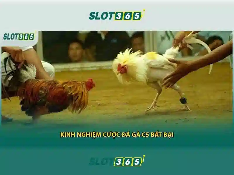 Slot365 là gì