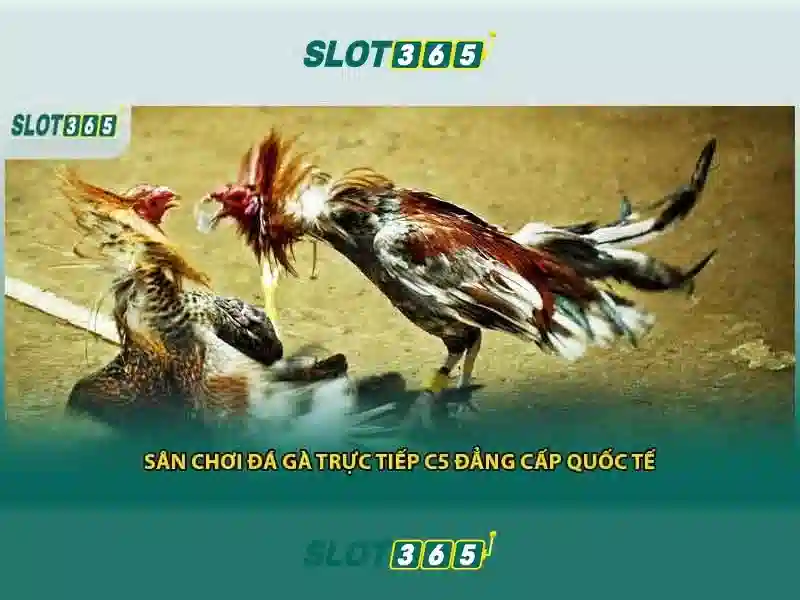 Trò chơi và danh mục trên Slot365