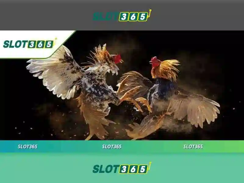 Slot365 là gì
