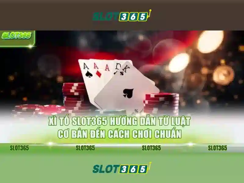 Slot365: Tổng quan về nền tảng cá cược trực tuyến