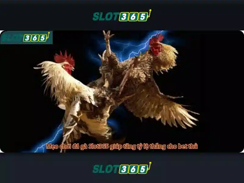 Slot365 là nền tảng chơi slot trực tuyến phổ biến