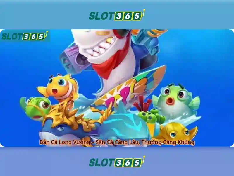 The thao betting dashboard