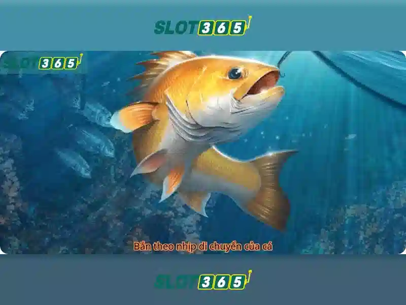 Slot365 - Nền tảng trò chơi xè bạc trực tuyến