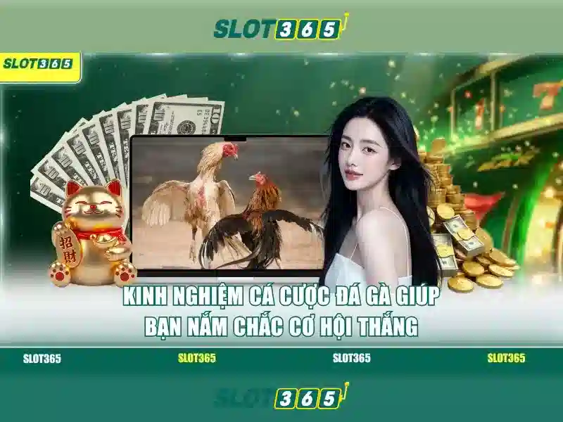 Tại sao Slot365 được ưa thích?