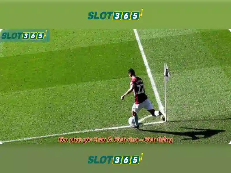 Cac kenh lien he Slot365 bao gom Livechat Hotline va Telegram