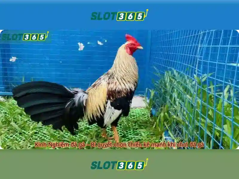 Giao-dien-slot365