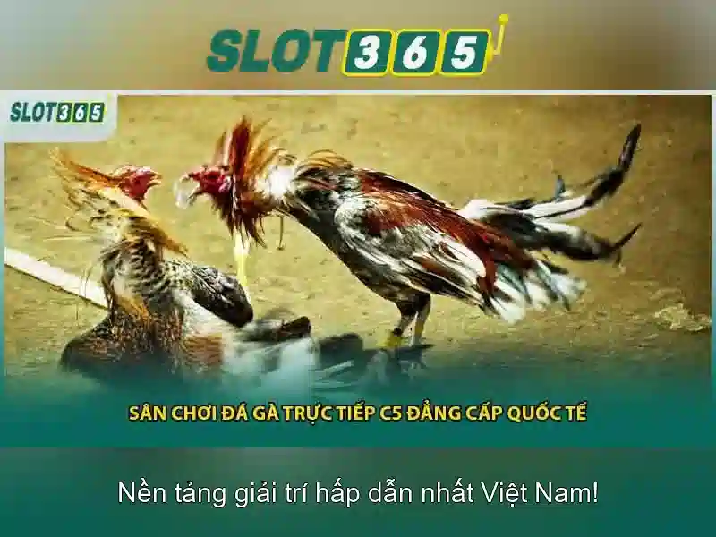 An toàn, bảo mật và thanh toán