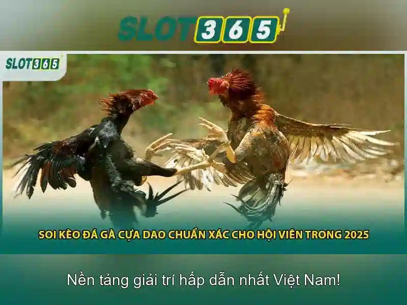 Slot365 - Tổng quan về nền tảng slot trực tuyến phổ biến
