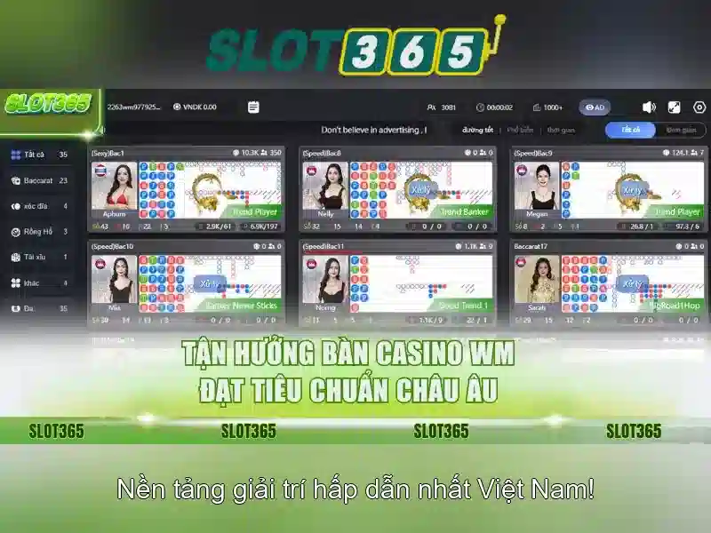 Đội ngũ quản lý và độ tin cậy