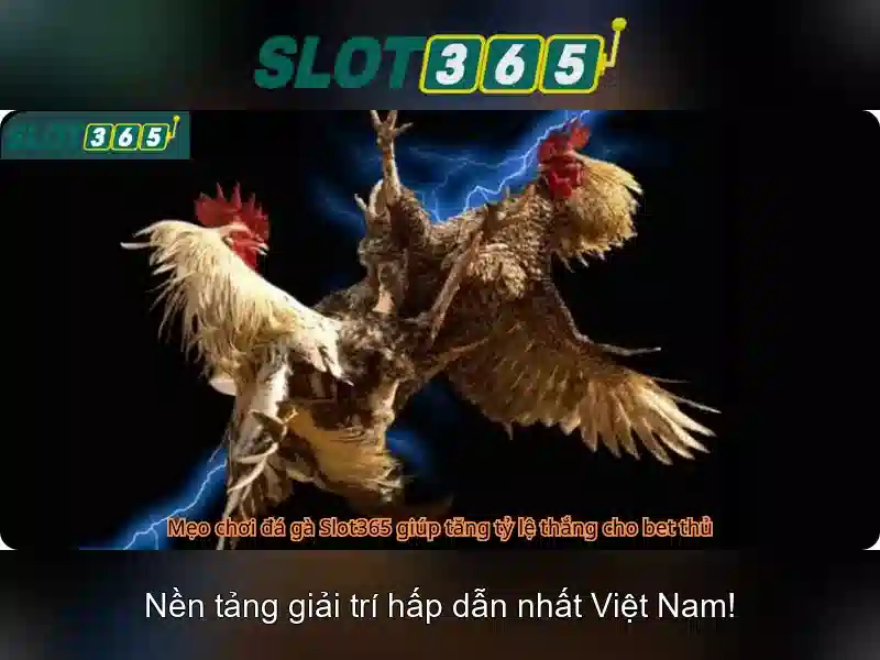 Các trò chơi phổ biến tại Slot365