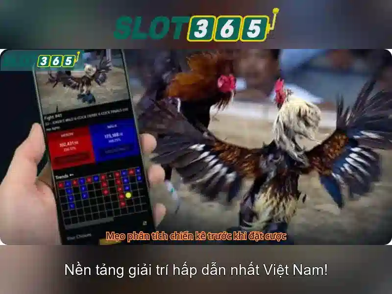 Slot365: trải nghiệm slot trực tuyến đỉnh cao