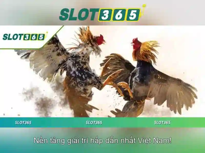 Slot365 – Trải nghiệm slot trực tuyến uy tín