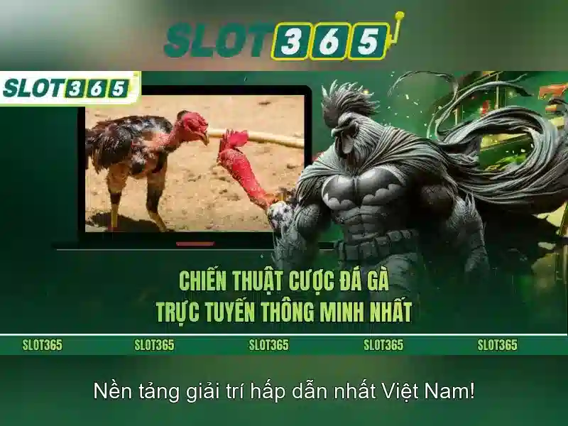 Kết luận