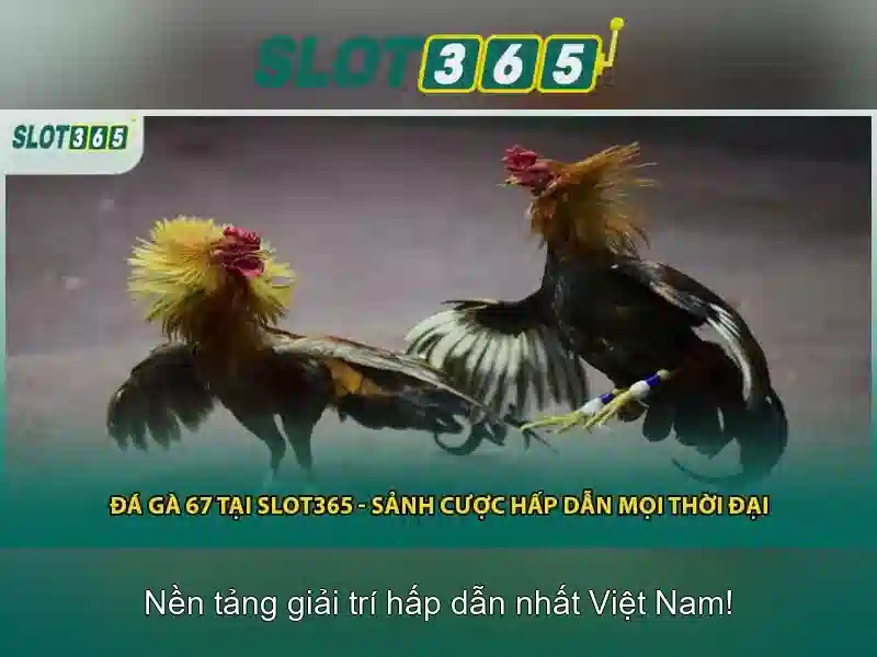Danh mục trò chơi đa dạng