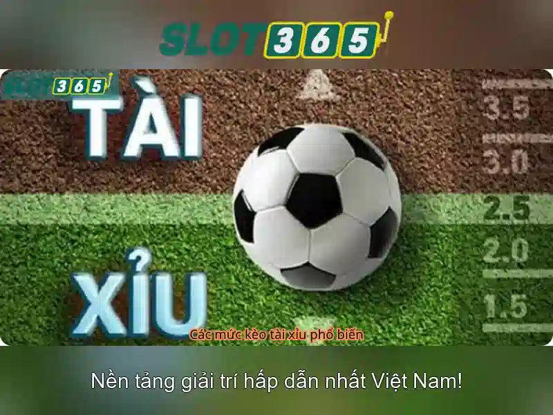 Slot365 - Đánh giá và Hướng dẫn chơi slot trực tuyến