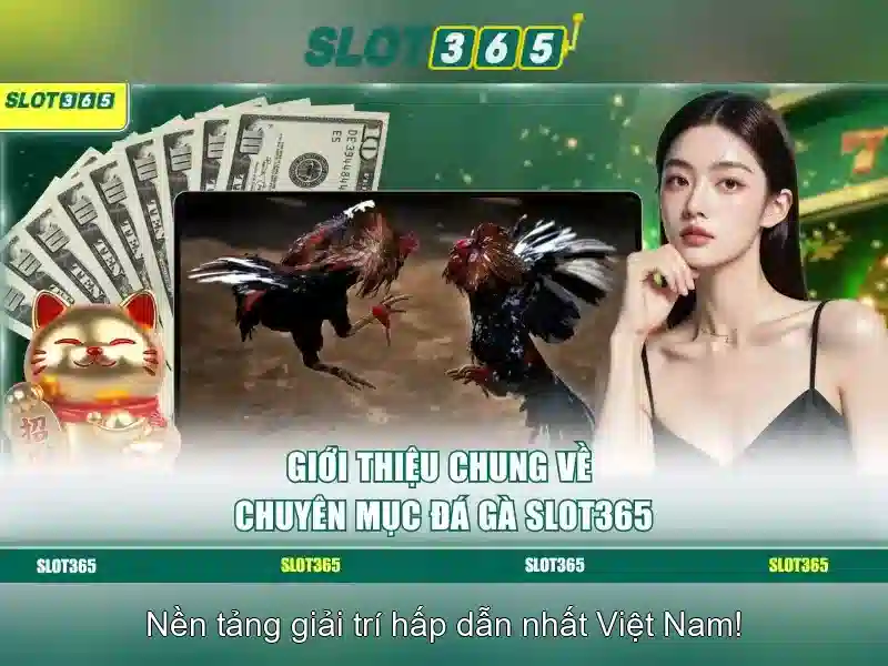 Các trò chơi nổi bật và tính năng