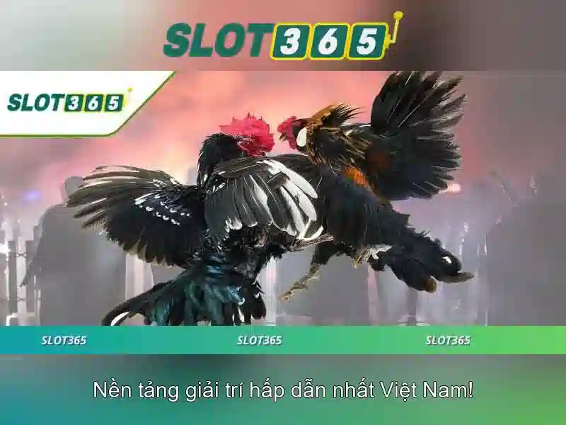 Danh mục trò chơi và nhà phát hành