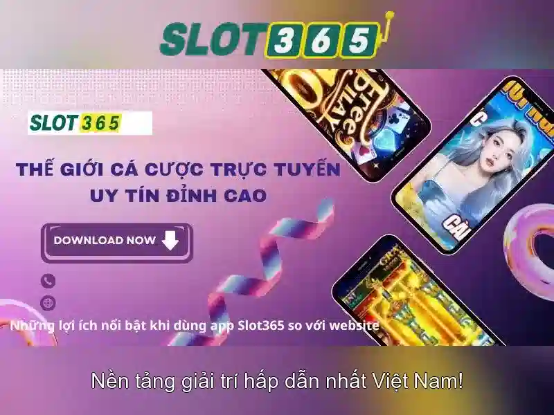 Điều khoản và an toàn