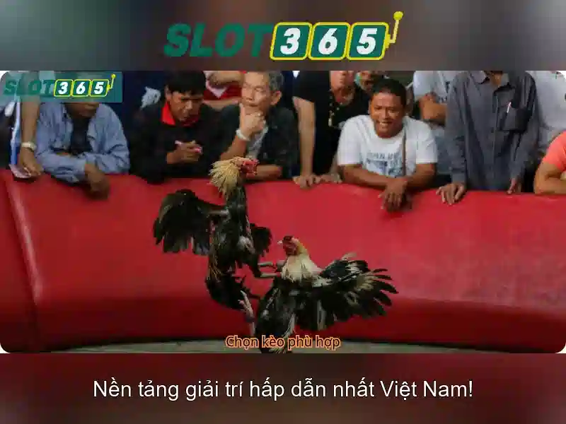 nhận thưởng Slot365 – Tổng quan chủ đề và giá trị cốt lõi