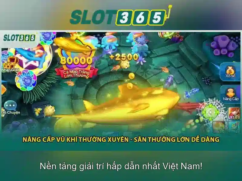 Slot365 - Nền tảng cá cược trực tuyến hàng đầu