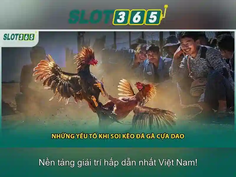 Tại sao chọn Slot365