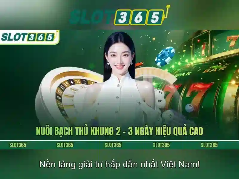 Trải nghiệm người dùng và đồ họa