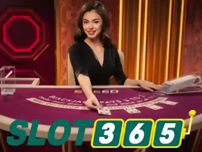 Slot365: Đánh giá nền tảng slot trực tuyến