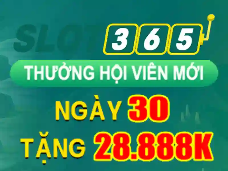 Slot365 – Nền tảng chơi slot trực tuyến đáng tin cậy
