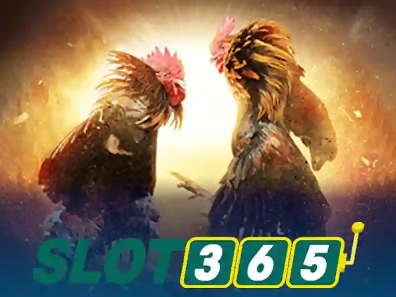 ĐẶC ĐIỂM NỔI BẬT CỦA SLOT365