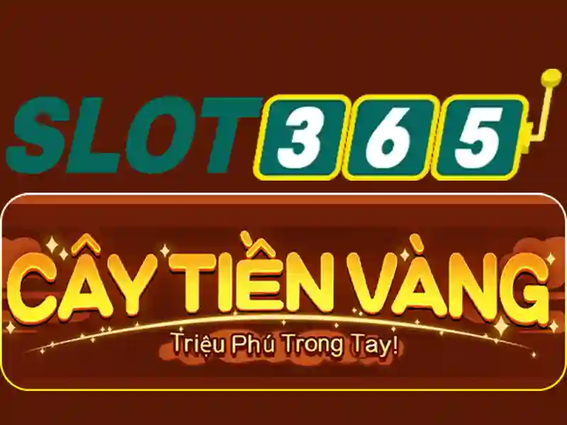 Giao diện người dùng và trải nghiệm di động
